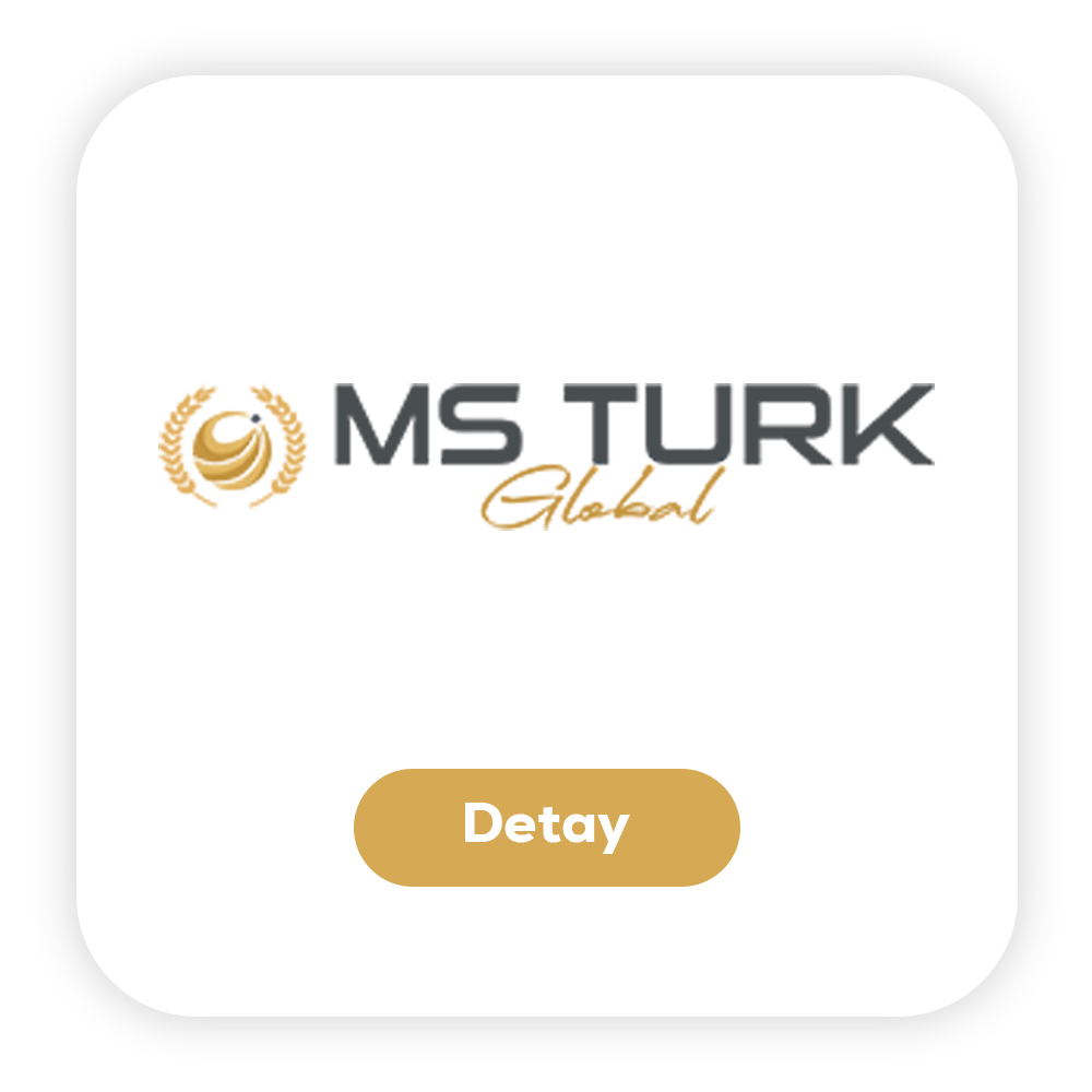 MS Türk Global